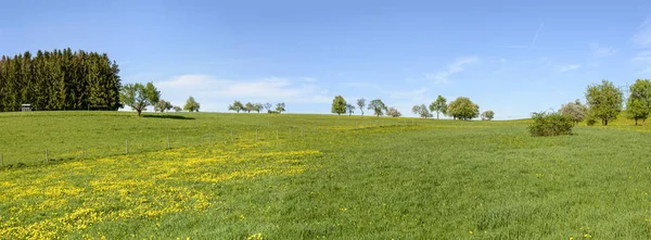 Panoramablick Auf Grün Blühende Frühlingshafte Hügellandschaft Aufgenommen Hellen Frühlingslicht Bei — Stockfoto