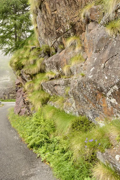 Weelderige Vegetatie Rotsen Flankerende Vivione Pass Smalle Bergweg Doodgeschoten Bewolkt — Stockfoto