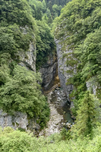 Dezzo Arroyo Bajo Escarpados Acantilados Rocosos Exuberante Vegetación Del Barranco — Foto de Stock