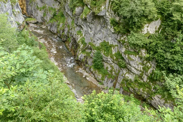 Aguas Claras Del Arroyo Dezzo Bajo Escarpados Acantilados Rocosos Exuberante — Foto de Stock