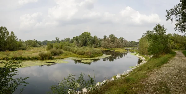 Краєвид Ніг Шляхом Чистими Водами Тічіно Річки Стариця Вистрілив Світлі — стокове фото