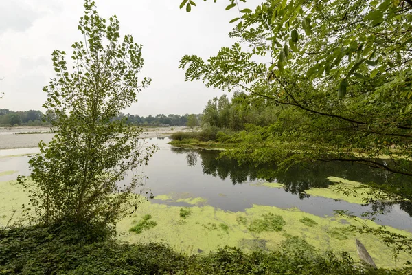 Paisagem Rio Ticino Lago Oxbow Fundindo Com Fluxo Principal Filmado — Fotografia de Stock