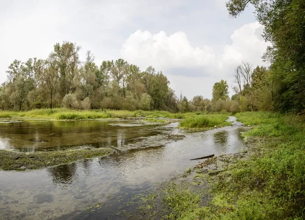 Paisagem Com Ticino Rio Oxbow Lago Águas Rasas Claras Filmado — Fotografia de Stock