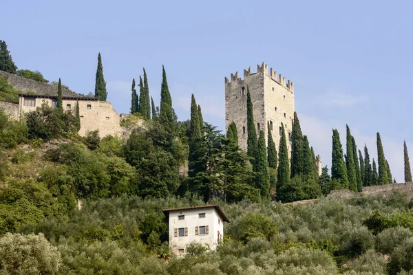 Vista Torre Medieval Castelo Acima Cidade Histórica Pequena Disparada Oeste — Fotografia de Stock