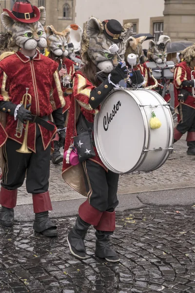 Bass trummisen spelare i en marching band av katter på karneval parad — Stockfoto