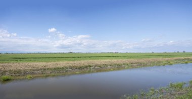Portogruaro yakınlarındaki yeşil ovalarda kanal, İtalya