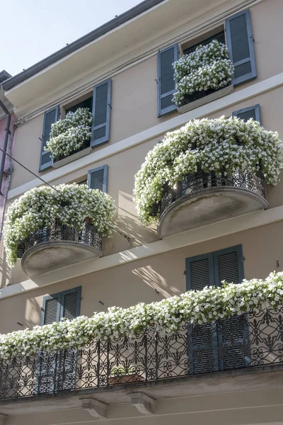 Цветущие балконы, Крема, Италия — стоковое фото