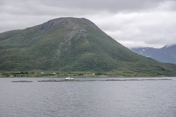 Norveç Reinsnes yakınlarında fiyortta balık çiftliği — Stok fotoğraf