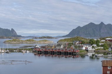 Limanda ve dağılmış kayalıklarda gecikmeli stilt robuers, Svolva