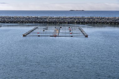 Norveç Melbu Limanı 'ndaki balık çiftliği