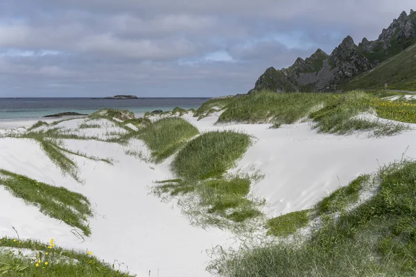 Dunas de arena blanca y rocas escarpadas, Bleik, Noruega — Foto de Stock