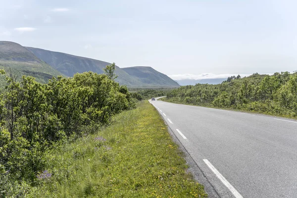 Väg och grön landsbygd, nära Stave, Norge — Stockfoto