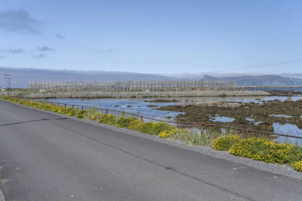 dried cod racks at Nordmela, Norway