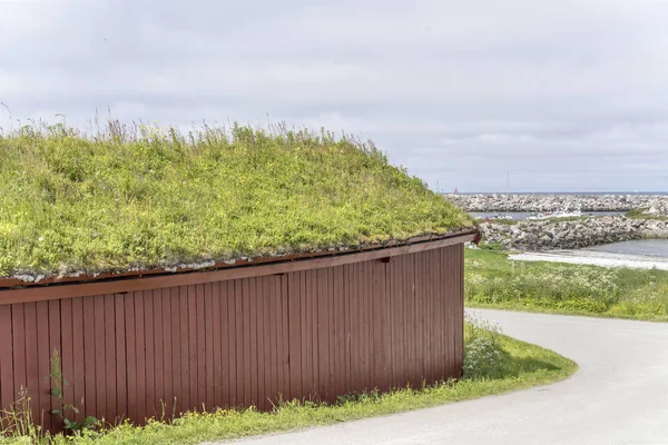 노르웨이의 블 리크에 있는, 아르틱 마을의 꽃피는 풀 지붕 — 스톡 사진