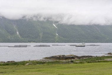 Norveç, Refsnes yakınlarında fiyort sularında balık çiftliği