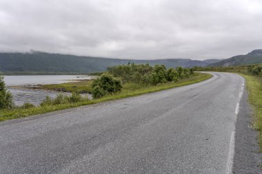 Forfjord, Norveç 'te yol bükülüyor.