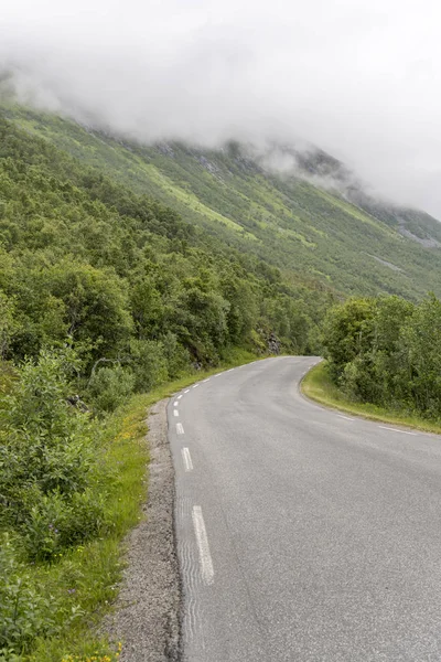 Flexión de la carretera en laderas verdes en madera de abedul, cerca de Bogen, Noruega —  Fotos de Stock