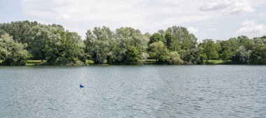 Suya yakın ağaçlar gölün yeşil kıyısında şehir parkındaki terk edilmiş çukurda, Milano, Lombardiya, İtalya 'da parlak güneşli ışıkta vurulan