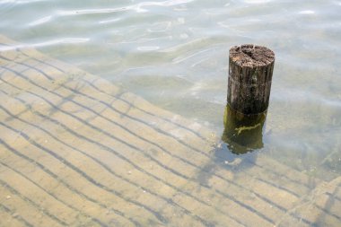 Şehir parkındaki ıssız kuyuda gölün berrak sularında su altında kalmış Milano, Lombardy, İtalya 'da parlak güneşli bir ışıkta vurulmuş.