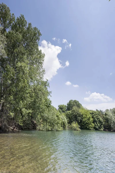 意大利伦巴第市米兰 湖畔清澈的湖水和高大的树木在深坑中 在明亮的阳光下被射中 — 图库照片