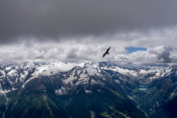 aerial shot, from a sailplane, of eagle at cloudbase with Avio range in background , shot in Alps in bright late springtime light, Brescia, Lombardy, Italy