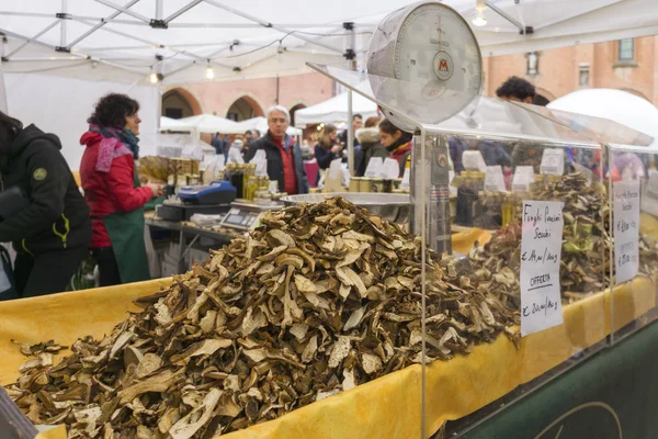 Alba Itália Novembro 2018 Turistas Feira Cogumelos Truffle Mercado Rua — Fotografia de Stock