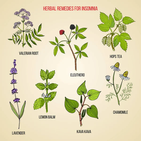Los mejores remedios herbales para el insomnio — Archivo Imágenes Vectoriales