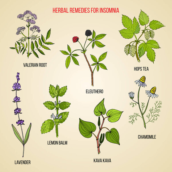 Best herbal remedies for insomnia