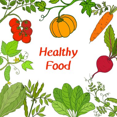 Çiftçiler sağlıklı taze gıdalar