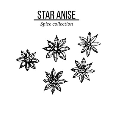 Baharat koleksiyonu, Yıldız anason elle çizilmiş