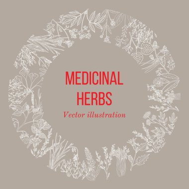 Şifalı otlar ve bitkiler el Vintage koleksiyonu çizilmiş