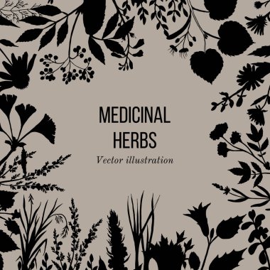 Şifalı otlar ve bitkiler el Vintage koleksiyonu çizilmiş