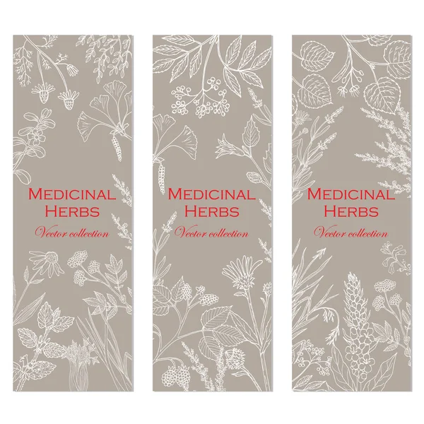 Banners con hierbas y plantas medicinales dibujadas a mano — Vector de stock