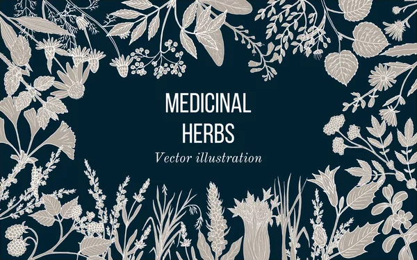 Colección vintage de hierbas y plantas medicinales dibujadas a mano — Vector de stock