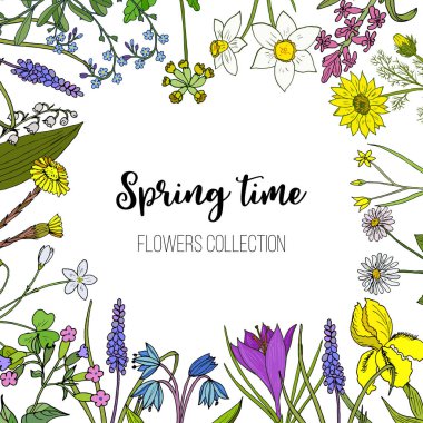 Bahar çiçekleri vektör çizim ayarla