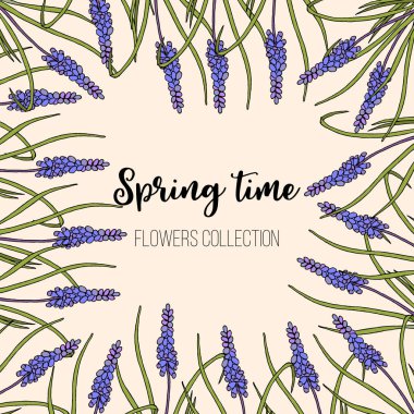 Bahar çiçekleri muscari çerçeve