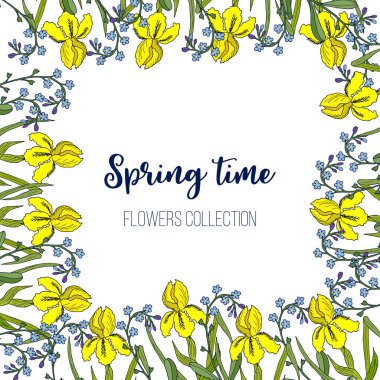 Bahar çiçekleri iris ve unutma çerçeve