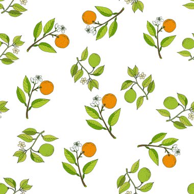 Portakal ve bergamot dalları seamless modeli