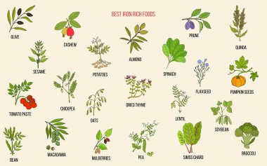 En iyi demir yönünden zengin besinler