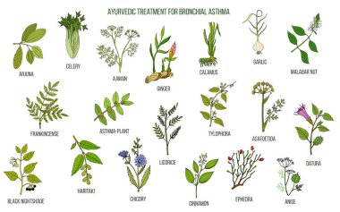 Ayurveda otlar astım tedavisi için