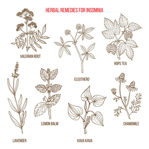 Best herbal remedies for insomnia