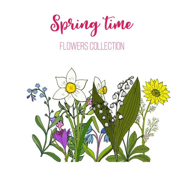 Flores de primavera crocus, scilla, adoni — Archivo Imágenes Vectoriales