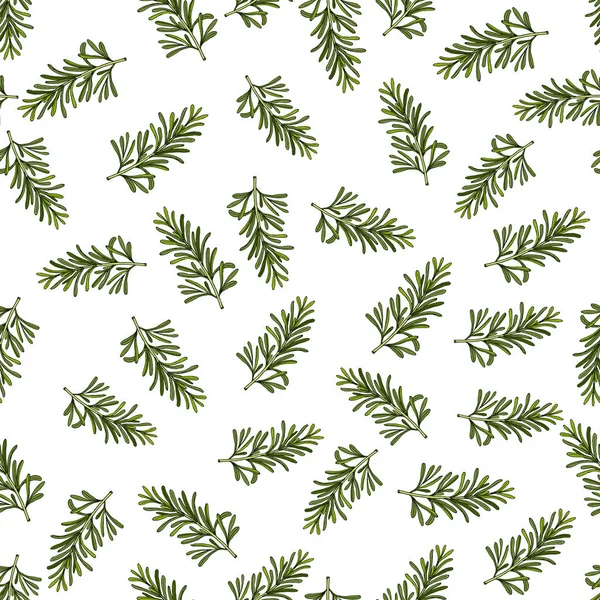 Modèle vectoriel sans couture avec des herbes d'épices dessinées à la main romarin — Image vectorielle