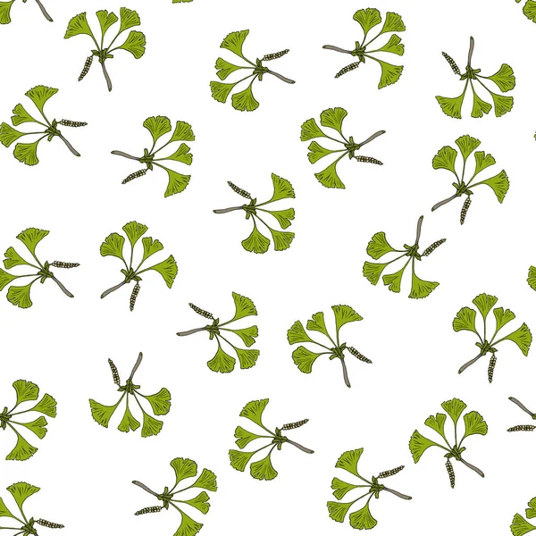 Modèle sans couture avec Ginkgo biloba, plante médicinale — Image vectorielle