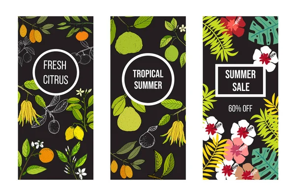 Banner de verão com frutas cítricas —  Vetores de Stock