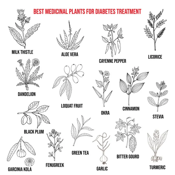 Herbes et épices qui luttent contre le diabète — Image vectorielle