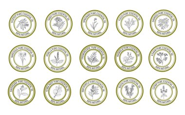 Set of essential oil labels. Hand drawn vector illustration clipart