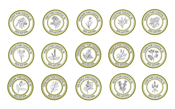 Набір Ефірних Масляних Етикеток Рука Намальована Векторні Ілюстрації — стоковий вектор