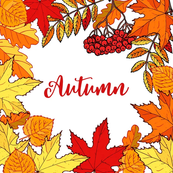 Hello őszi kézzel rajzolt őszi levelek. — Stock Vector