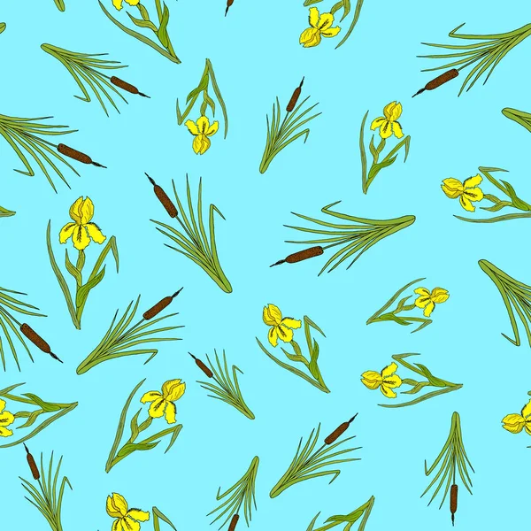 Modèle sans couture nature avec iris et quenouille . — Image vectorielle